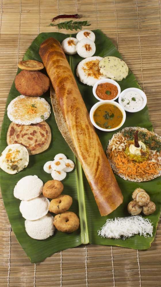 3poaogo8 south indian
